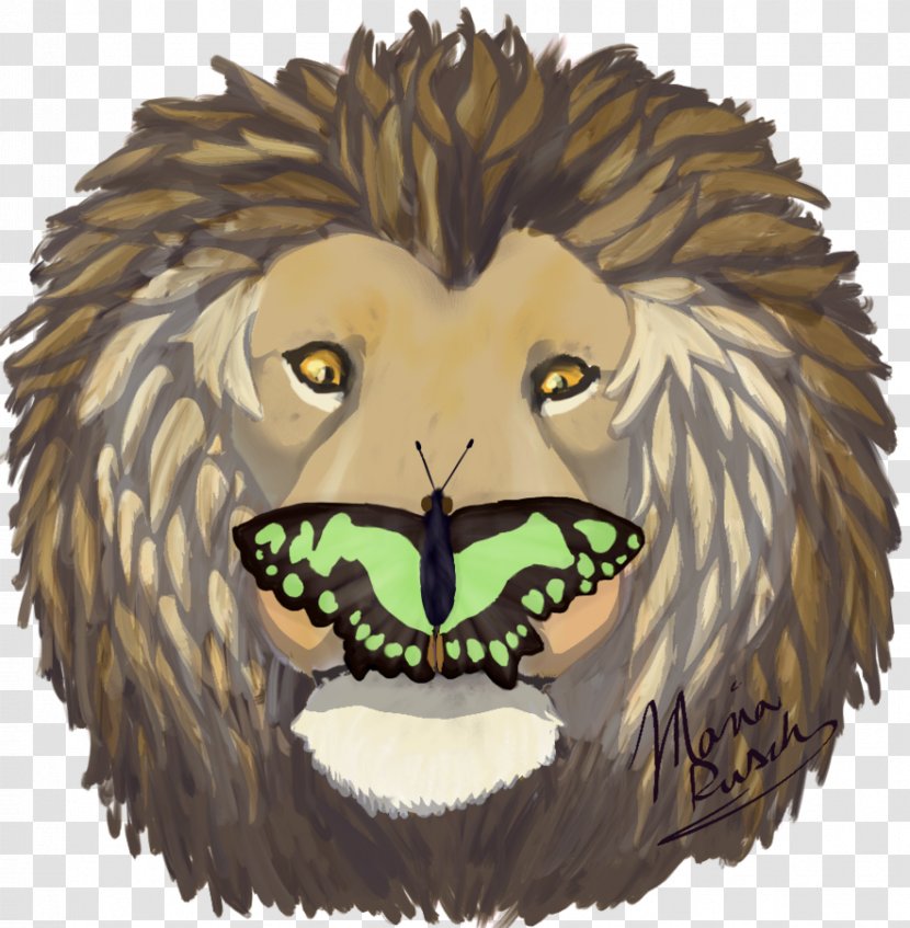 Lion Cat Mammal Carnivora - Like - Painted Transparent PNG