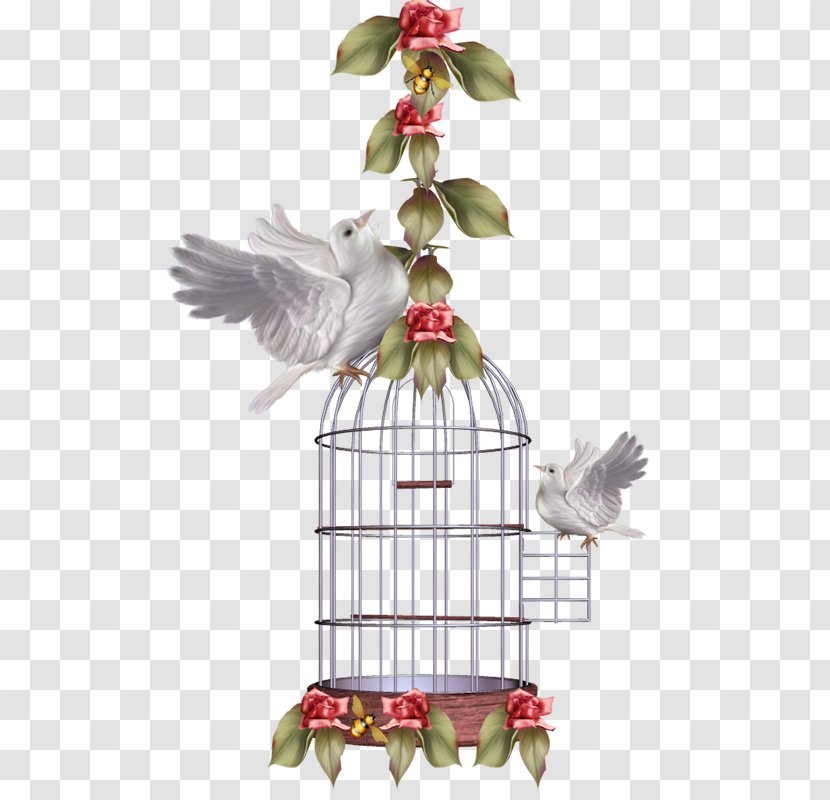 Birdcage Clip Art - Cell - Bird Transparent PNG