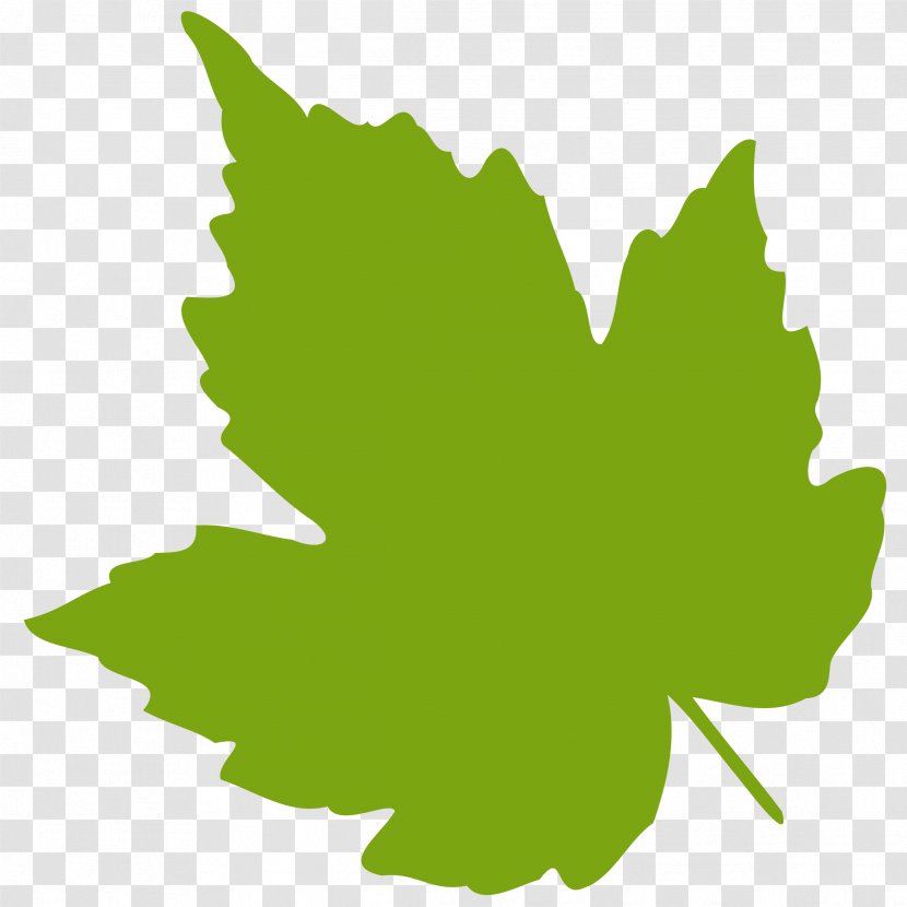 Grape Leaves Leaf Clip Art - Green - Pictures Transparent PNG