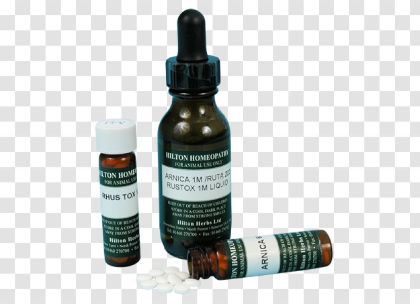 Mountain Arnica Homeopathy Homöopathisches Arzneimittel Poison Ivy Tablet - Sumac Transparent PNG