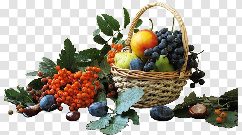 Grape Fruits And Berries - Vegetable Transparent PNG