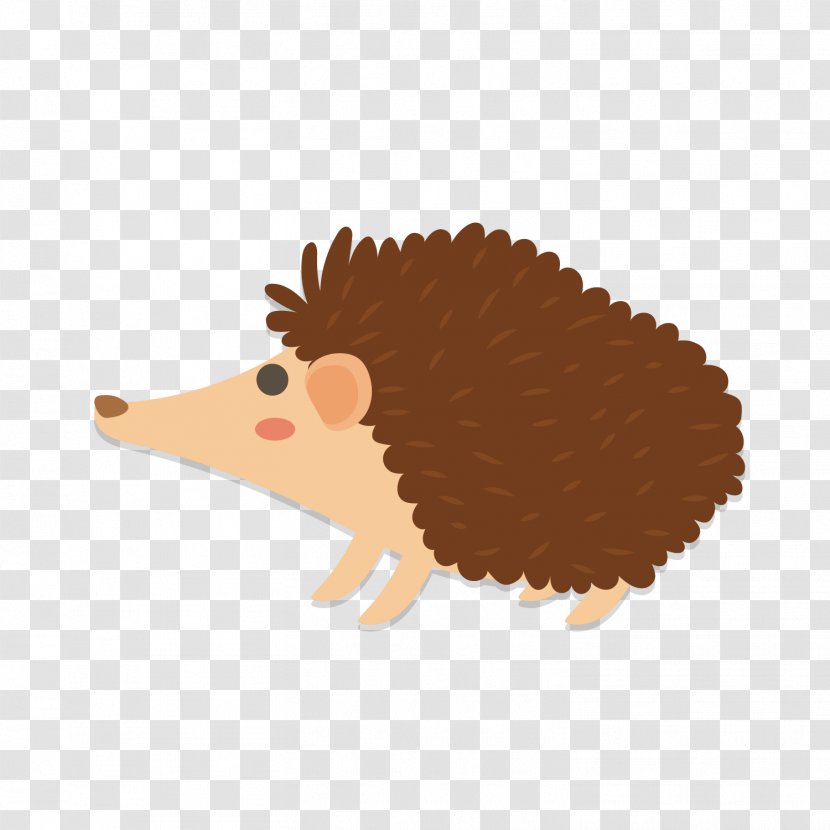 Hedgehog Cartoon Illustration - Snout - Cute Vector Transparent PNG