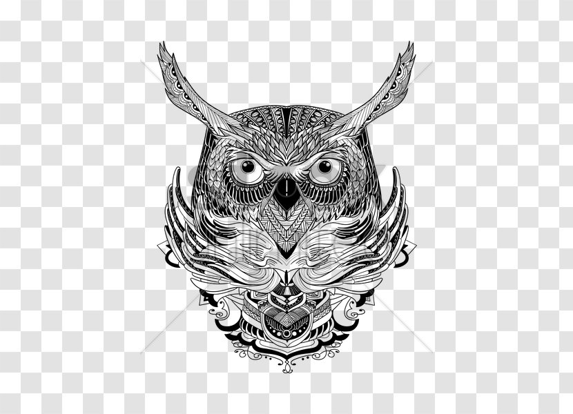 Owl Visual Arts Beak Sketch - Art - Intricate Design Transparent PNG