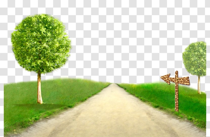 Wallpaper - Lawn - Country Road Transparent PNG