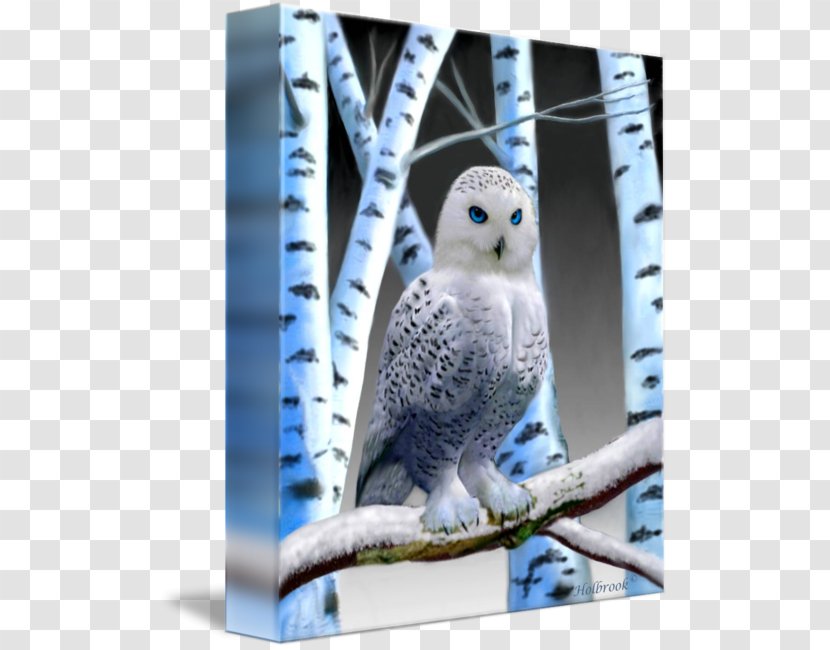 Owl Canvas Print Digital Art Transparent PNG