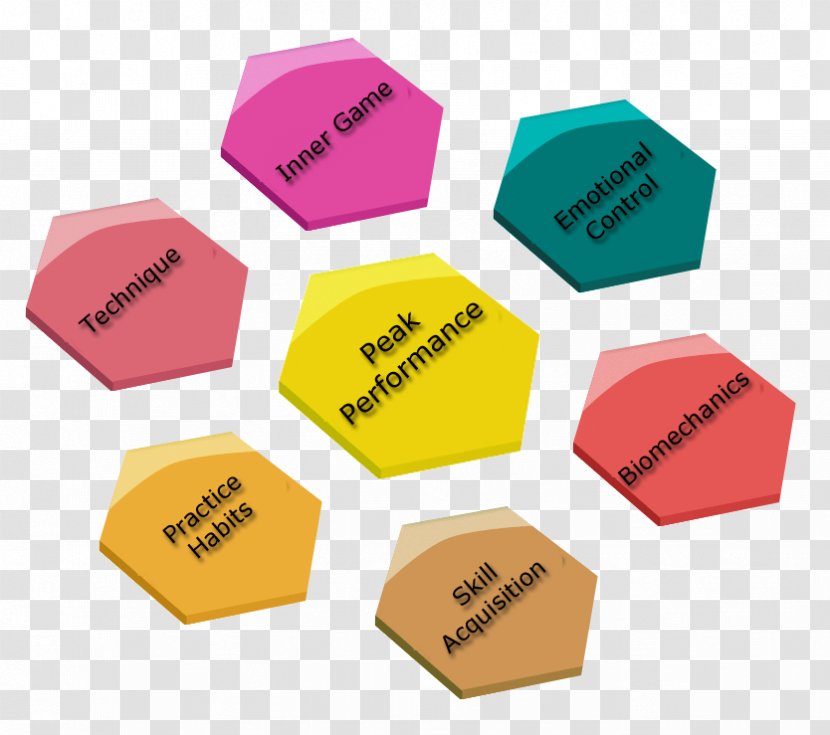 Coaching Philosophy Brand - Warnierorr Diagram Transparent PNG