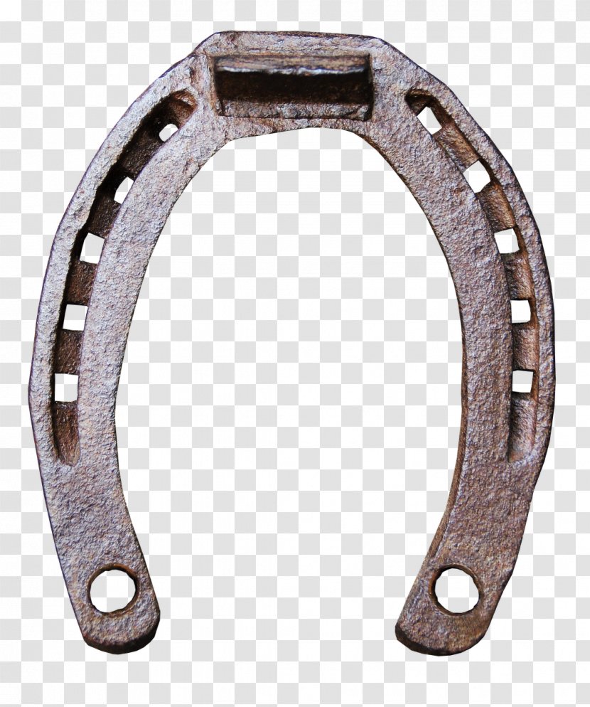 Horseshoe Farrier Equestrian Blacksmith - Anvil Transparent PNG