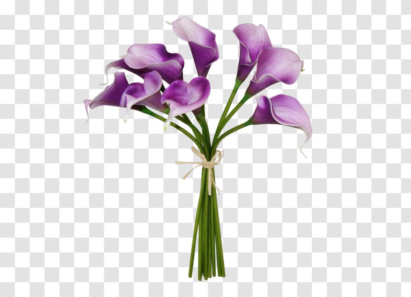 Cut Flowers Floral Design Floristry Flower Bouquet - Callalily Transparent PNG