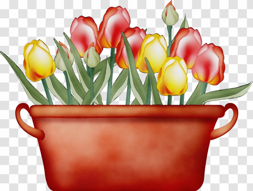 Flower Bouquet - Paint - Plant Stem Lily Family Transparent PNG