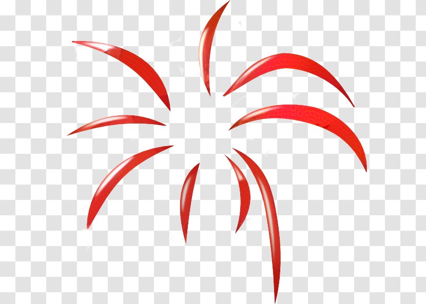 Fireworks Cartoon - Tree - Flower Plant Transparent PNG