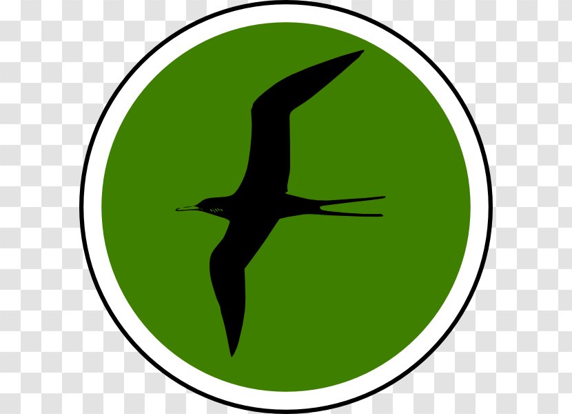 Beak Clip Art Water Bird Fauna - Wing - Ecosystem Transparent PNG