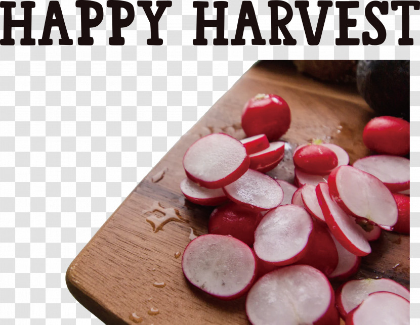 Happy Harvest Harvest Time Transparent PNG