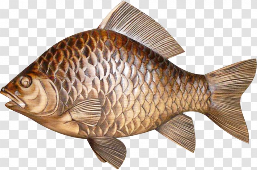 Fish Tilapia Clip Art - Fauna - Brown Transparent PNG
