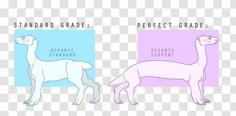 Llama Dog Canidae Paw Line Art - Carnivoran Transparent PNG