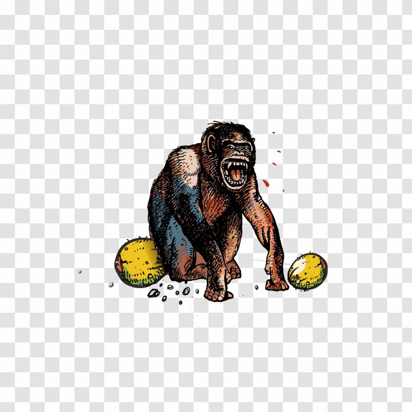 Gorilla Monkey Orangutan Common Chimpanzee Cartoon - Screaming - Hand-painted Transparent PNG