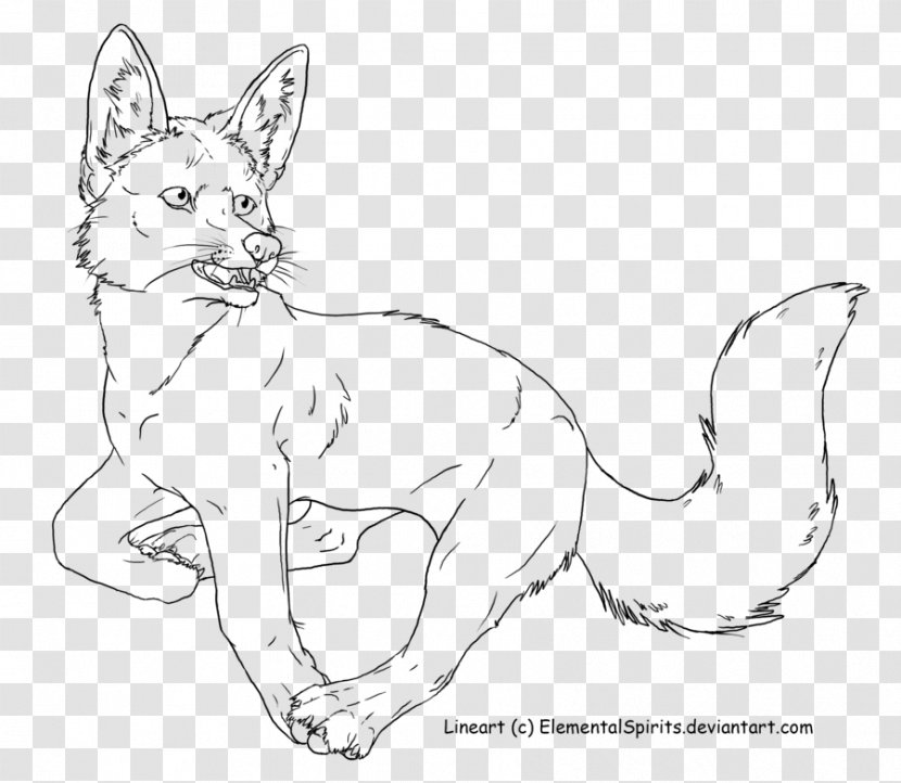 Whiskers Wildcat Red Fox Dog - Carnivoran - Cat Transparent PNG