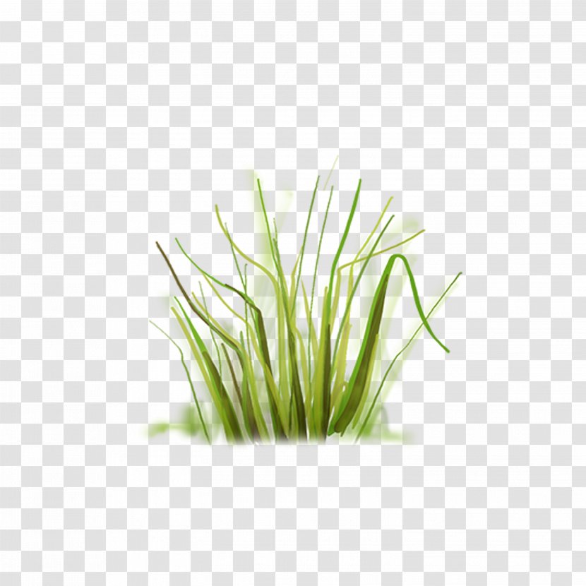 Grass Clip Art - Green Transparent PNG