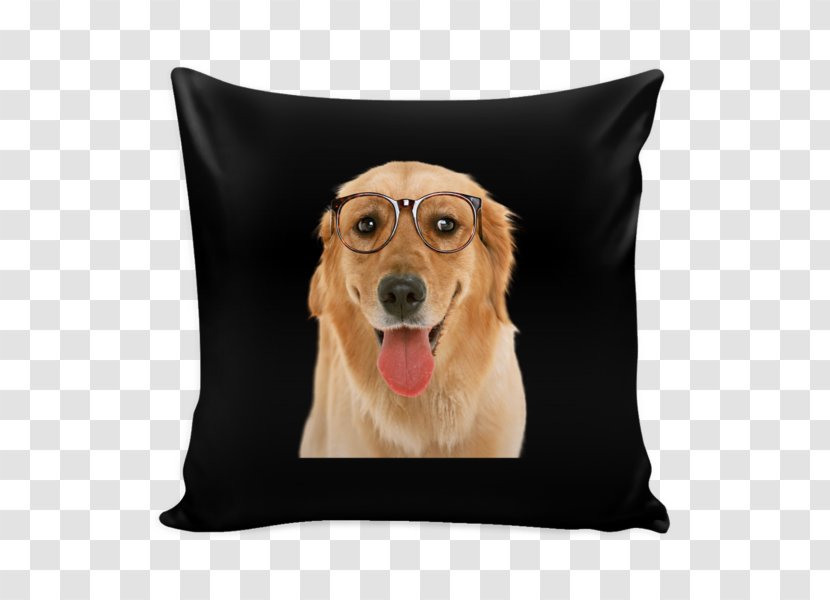 Dog Breed Golden Retriever Puppy Companion - Snout - Pawpaw Transparent PNG