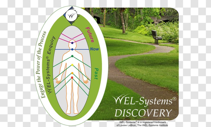 WEL-Systems Institute Science Lawn Energy Sustainable Living - Green - Discovery Program Transparent PNG
