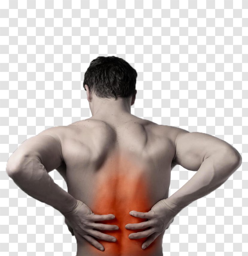 Low Back Pain Neck Physical Therapy - Watercolor Transparent PNG