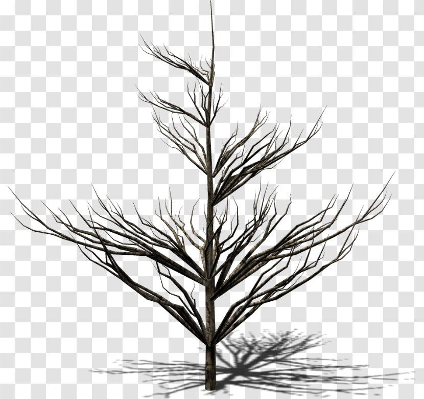 Image Painting Tree Drawing Transparent PNG