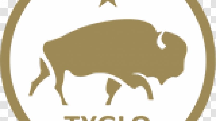 Texas General Land Office Central Surveyor History Of State Historical Association - Mammal - Accomplishment Transparent PNG
