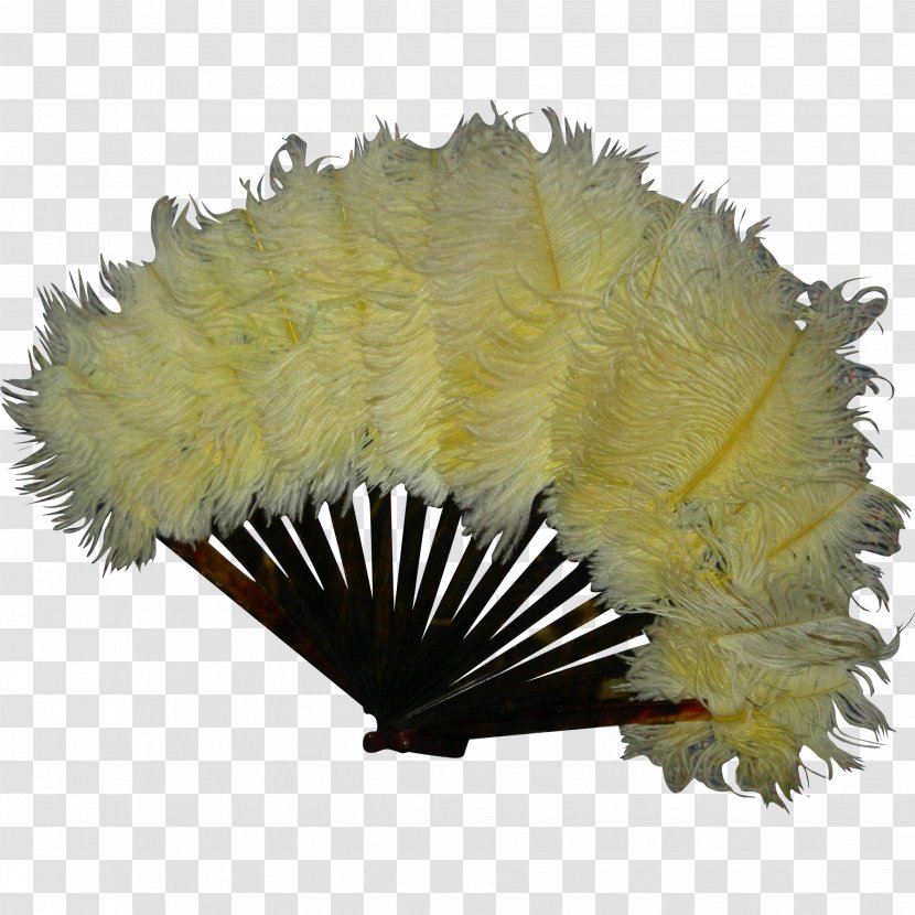 Feather - Decorative Fan Transparent PNG