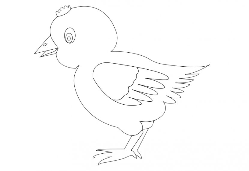 Duck Chicken Black And White Clip Art - Silhouette - Coloring Cliparts Transparent PNG