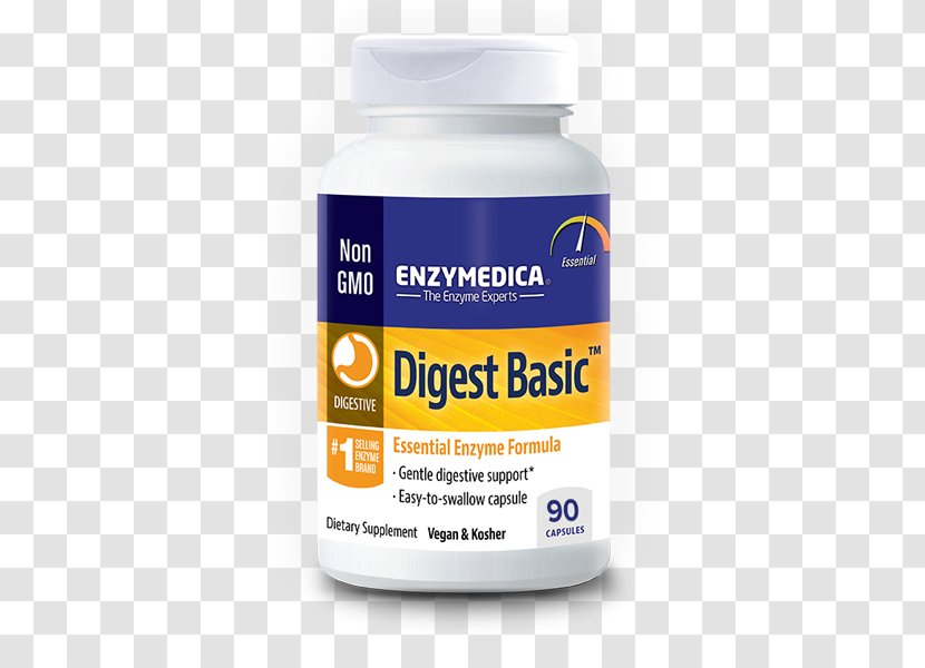 Digestive Enzyme Digestion Food Probiotic - Protein Transparent PNG