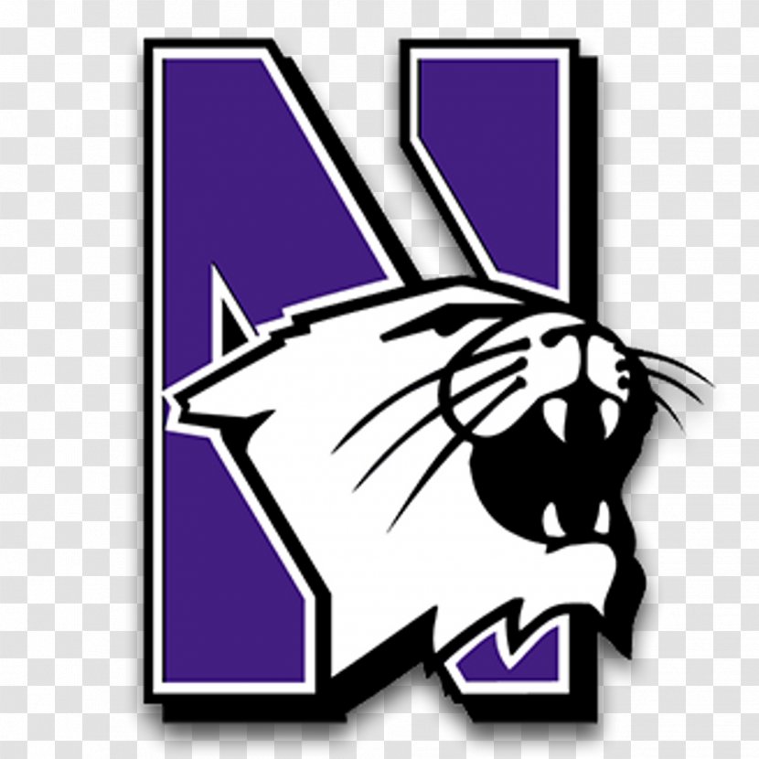 Northwestern Wildcats Football Softball NCAA Division I Bowl Subdivision American Penn State Nittany Lions - Ohio Buckeyes - Symbol Rectangle Transparent PNG