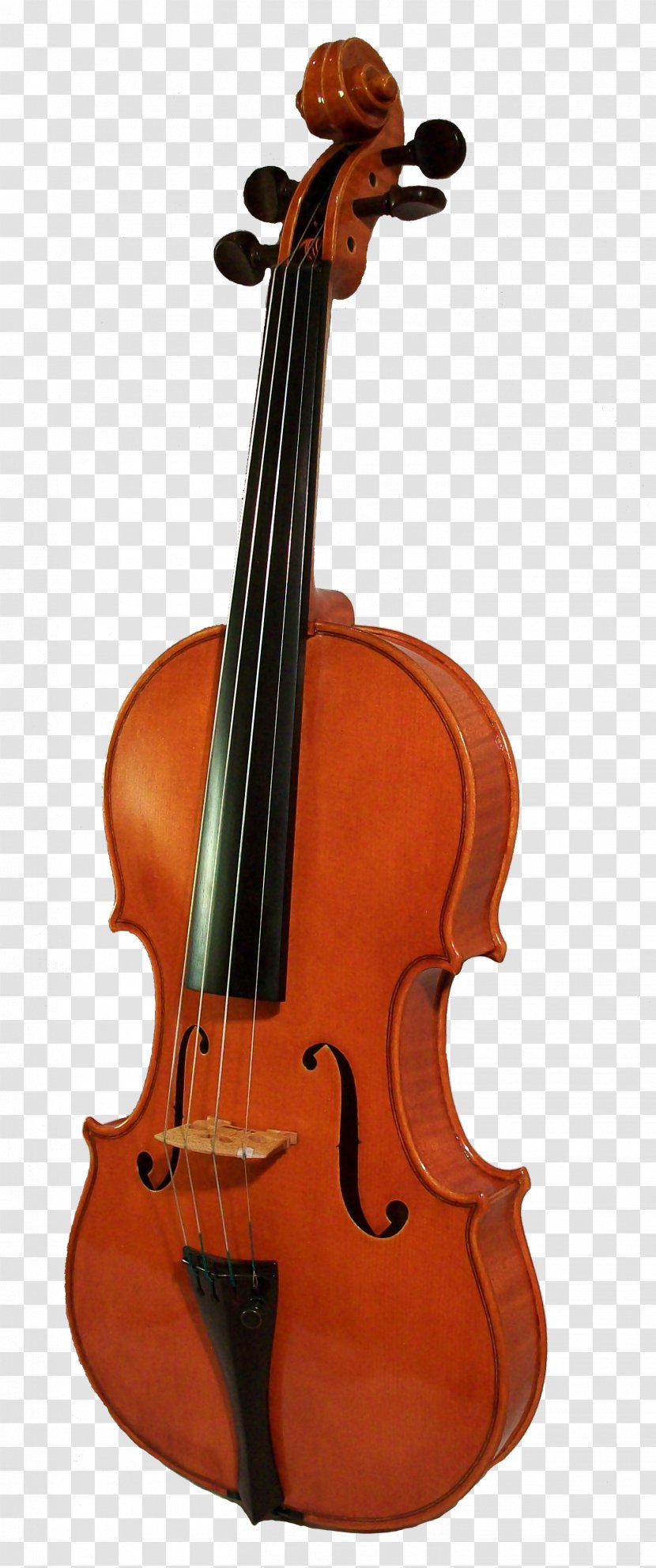 Violin Cello Musical Instrument - Double Bass Transparent PNG