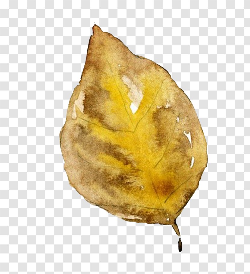 Leaf Download - Fruit - Leaves Transparent PNG