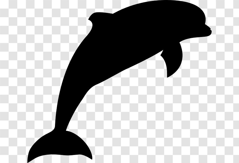 Vector Graphics Dolphin Clip Art Image Illustration - Silhouette Transparent PNG
