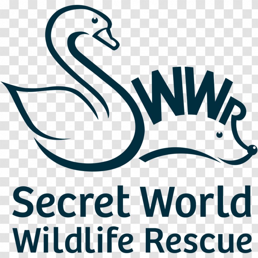 Secret World Wildlife Rescue (open For Animal Admissions Only, See Website Public Events) East Huntspill Highbridge - Text - Social Transparent PNG