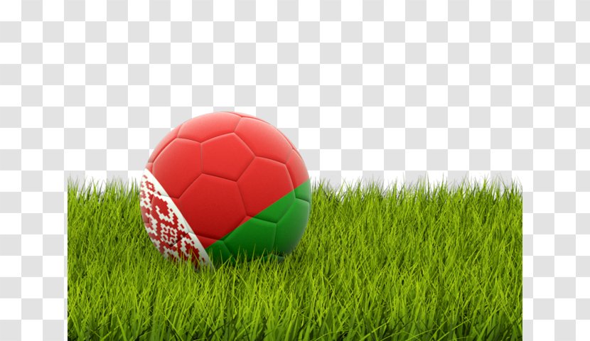 Albania National Football Team Arabian Gulf Cup Sport - Field - Grass Transparent PNG