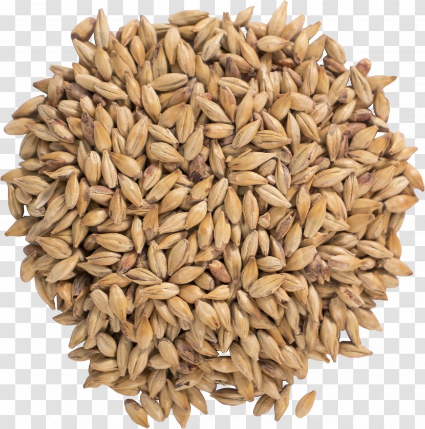 Cartoon Grass - Ingredient - Sunflower Seed Rye Transparent PNG
