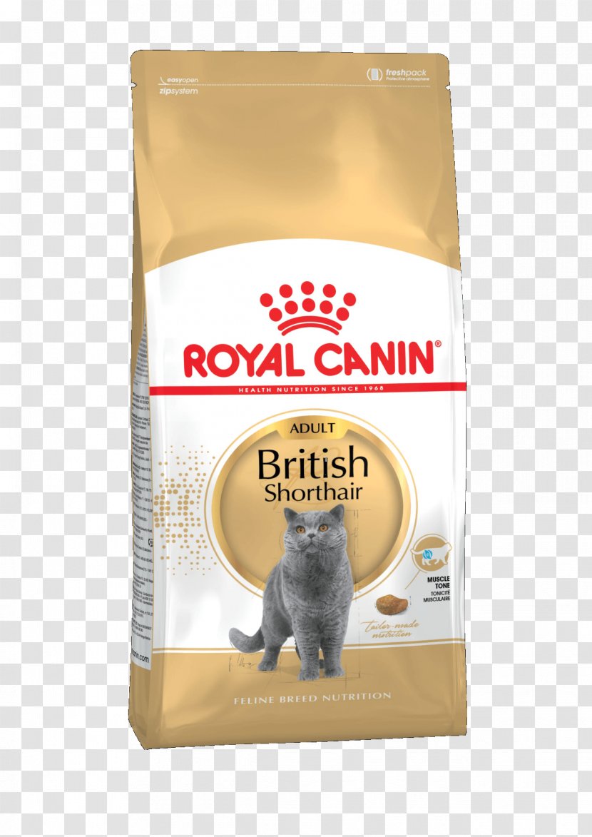 British Shorthair Royal Canin Cat Food Persian Dog Transparent PNG