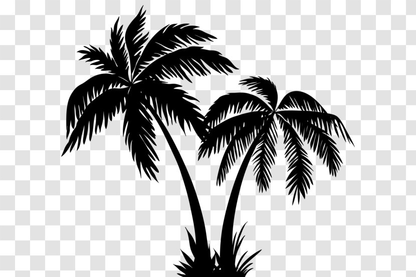 Arecaceae Silhouette Tree Clip Art - Leaf Transparent PNG