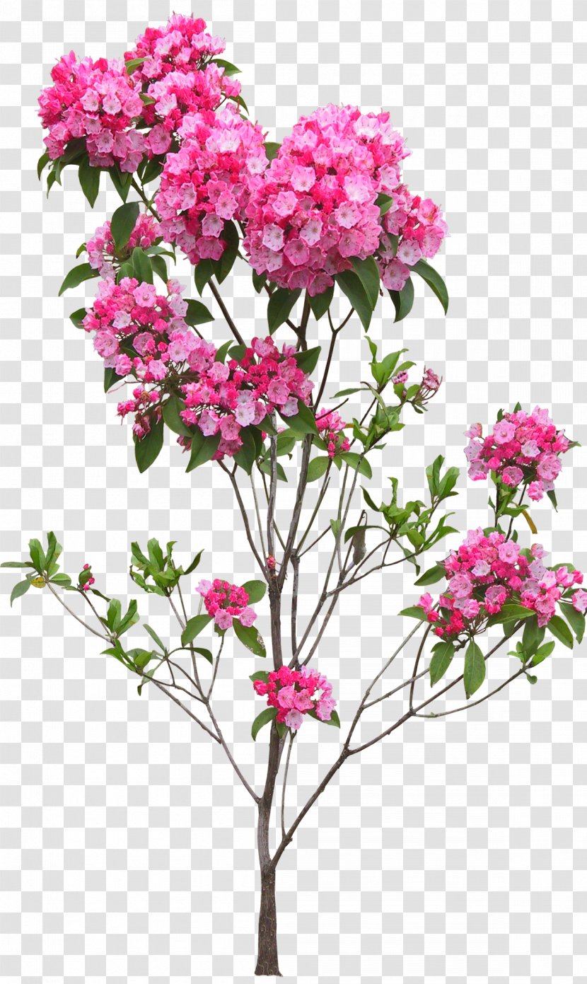 Flower Floral Design - Flowering Plant - Bushes Transparent PNG