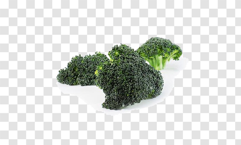 Broccoli Vegetable Kale - Tree - Organic Transparent PNG