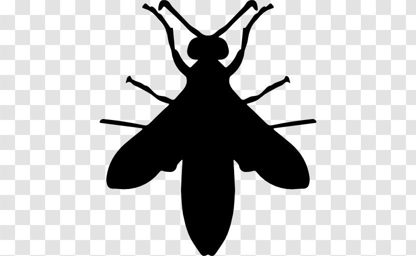 Hornet Wasp - Pest Control Transparent PNG