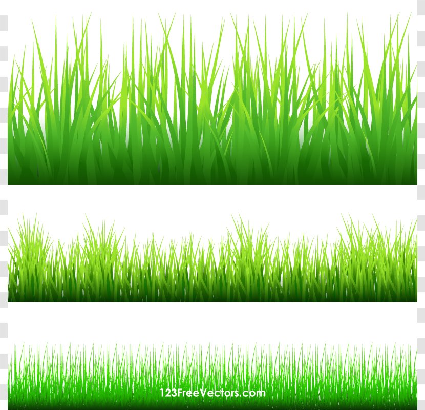 Clip Art - Grasses - Cliparts Grass Border Transparent PNG