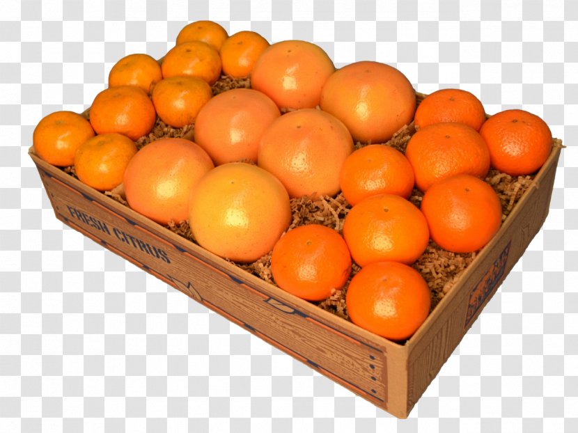 Clementine Tangerine Grapefruit Mandarin Orange - Valencia - Honey Tea Transparent PNG