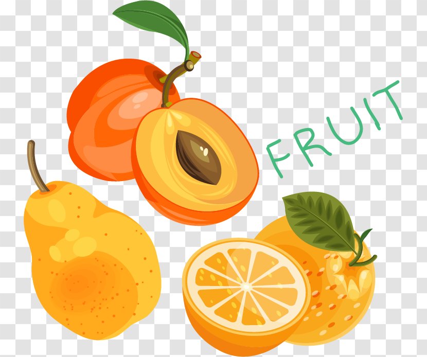 Clementine Mandarin Orange - Artworks - Oranges Apricot Pear Fruit Vector Material Transparent PNG