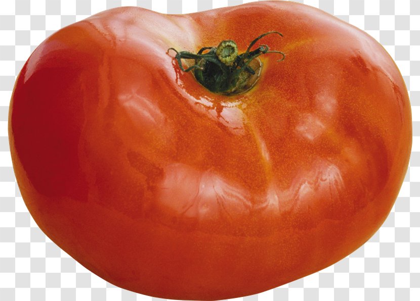 Plum Tomato Piquillo Pepper Bush Food - Spoilage Transparent PNG