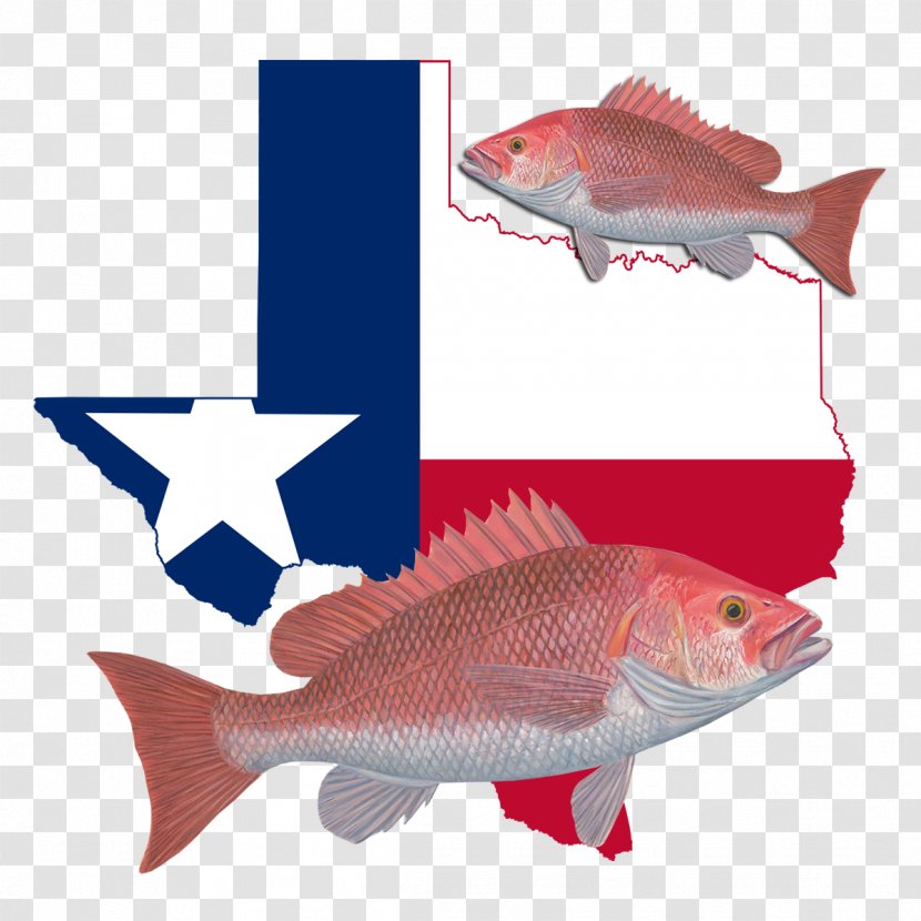 Flag Of Texas Blank Map Clip Art - Barramundi Transparent PNG