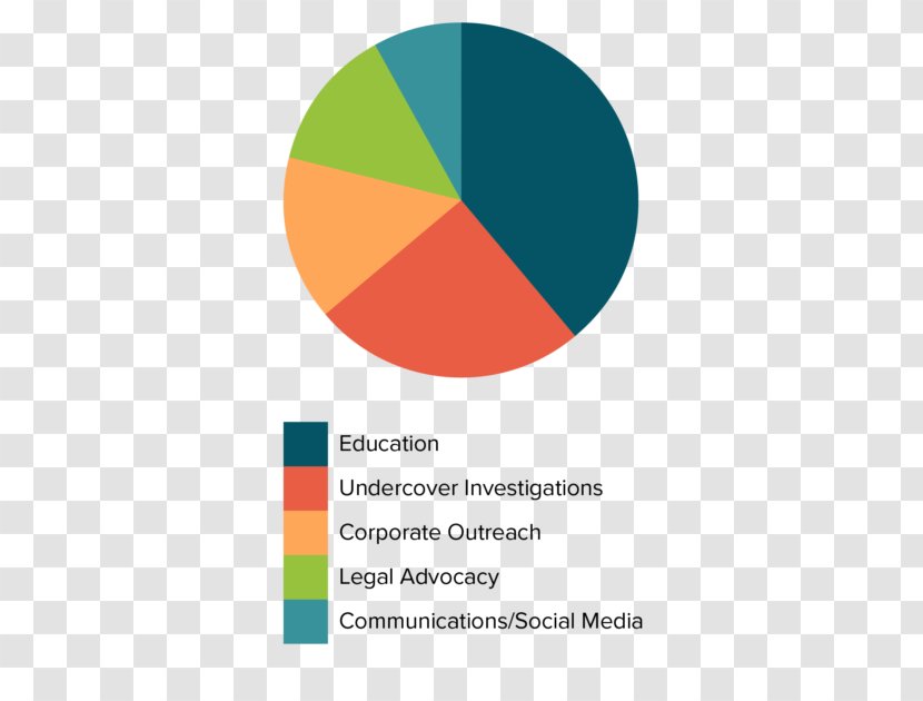 Animals Australia Animal Testing Chart - Organization - Cost Effective Transparent PNG