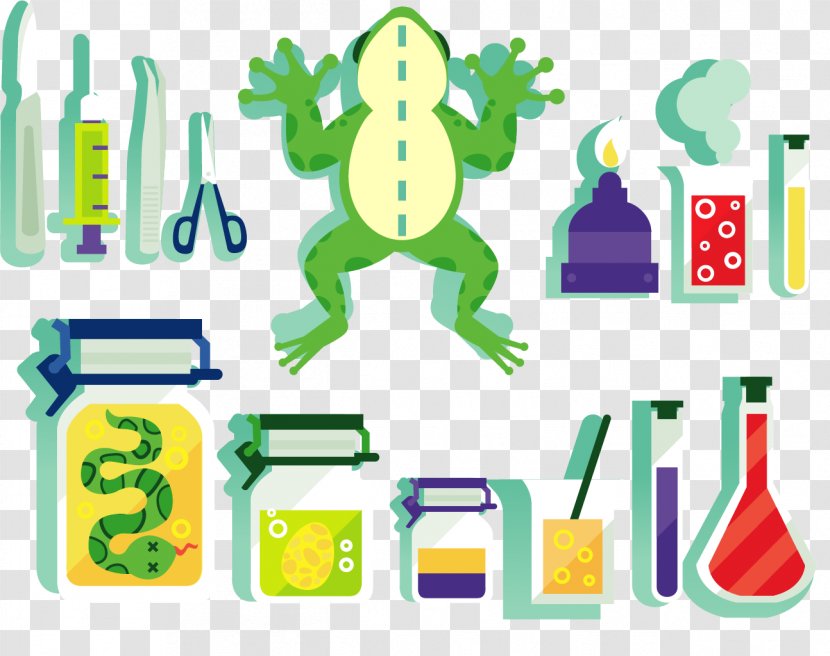 Euclidean Vector Experiment Download Chemistry - Symbol - Painted Frog Dissection Transparent PNG