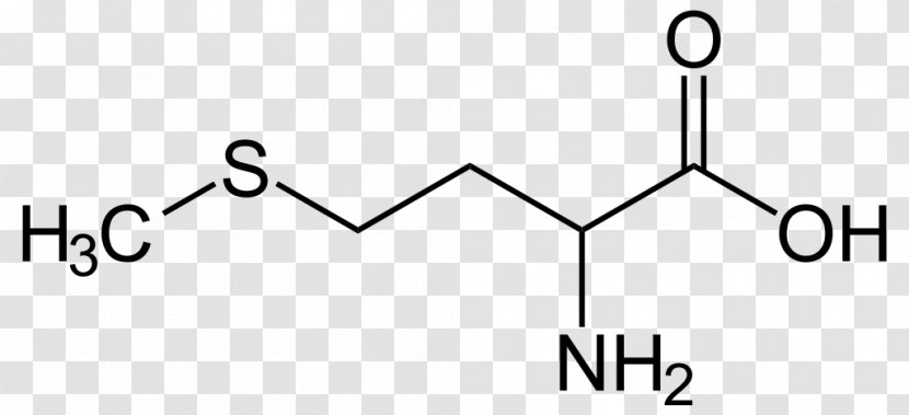 Selenomethionine Protein Structure Amino Acid - Heart - Tree Transparent PNG