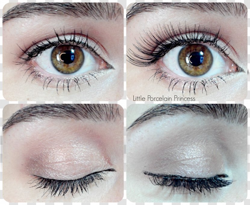 Cosmetics Eye Shadow Liner Eyelash Eyebrow - Beauty - Lashes Transparent PNG
